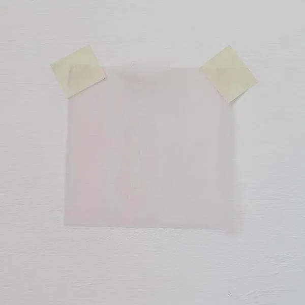 Organza Blush