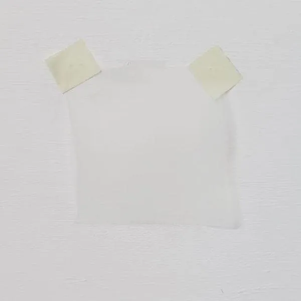Organza Ivory