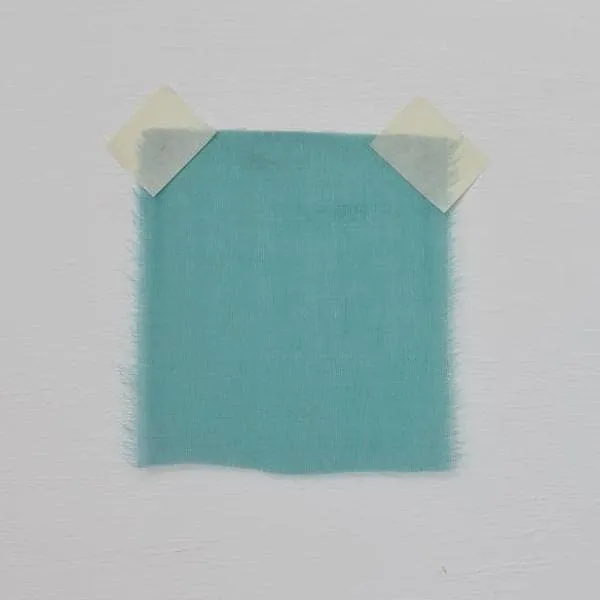 Organza Jade