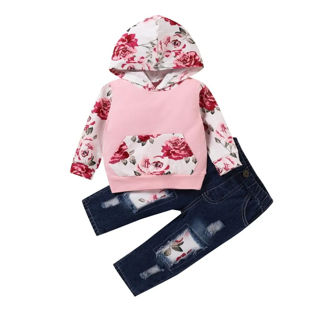 Toddler Girls Flower Printed Long Sleeve Top & Pants Wholesale Girl Clothing